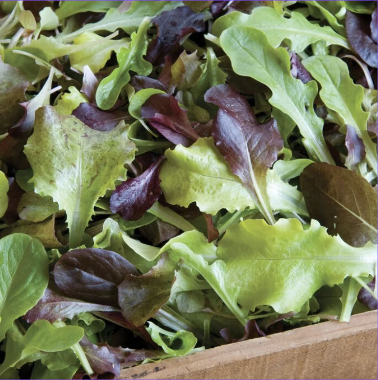 spring mix lettuce in a wooden box, with list of the available fruits and veggies
